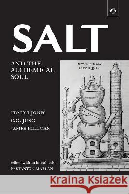 Salt and the Alchemical Soul Carl Gustav Jung James Hillman Stanton Marlan 9780882141312 Spring Publications - książka