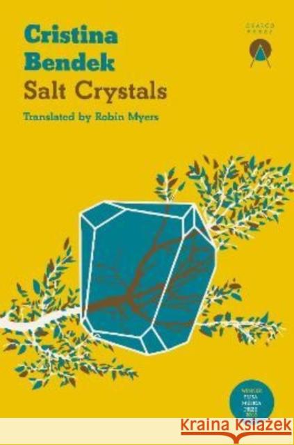 Salt Crystals Cristina Bendek Robin Myers 9781913867331 Charco Press - książka