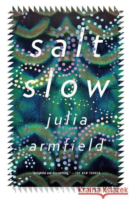 Salt Slow Julia Armfield 9781250224781 Flatiron Books - książka