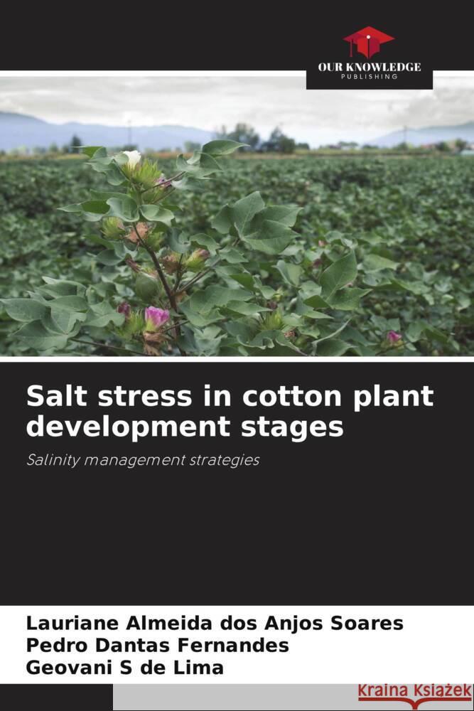 Salt stress in cotton plant development stages dos Anjos Soares, Lauriane Almeida, Fernandes, Pedro Dantas, de Lima, Geovani S 9786203903287 Our Knowledge Publishing - książka