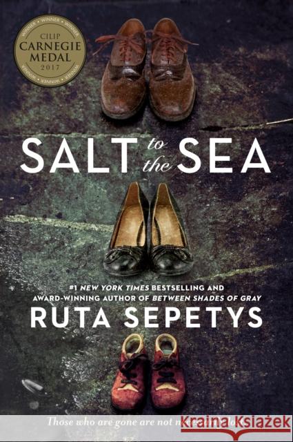 Salt to the Sea Ruta Sepetys 9780142423622 Speak - książka