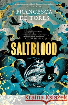 Saltblood: An epic historical fiction debut inspired by real life female pirates Francesca De Tores 9781526661333 Bloomsbury Publishing PLC - książka