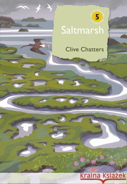 Saltmarsh Clive Chatters 9781399404822 Bloomsbury Publishing PLC - książka
