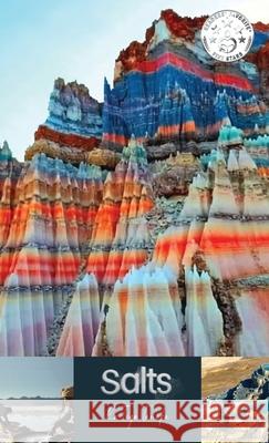 Salts La Toya Tanaka 9781947386037 Harvard Square Editions - książka