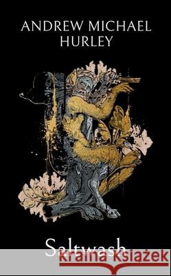 Saltwash: The chilling new novel from the 'master of menace' Andrew Michael Hurley 9781399817530 John Murray Press - książka