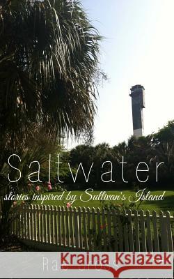 Saltwater Rae Cross 9781495400155 Createspace - książka