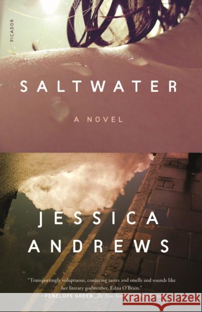 Saltwater: A Novel Jessica Andrews 9781250785640 Picador - książka