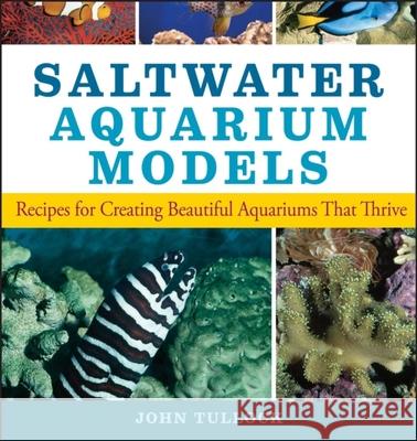 Saltwater Aquarium Models: Recipes for Creating Beautiful Aquariums That Thrive John H. Tullock 9780470044247 Howell Books - książka