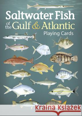 Saltwater Fish of the Gulf & Atlantic Playing Cards Adventure Publications 9781647550509 Adventure Publications - książka