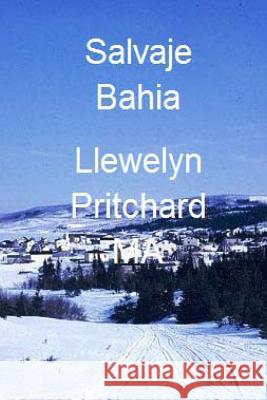 Salvaje Bahia: Port Hope Simpson Misterios Llewelyn Pritchard 9781480027053 Createspace - książka