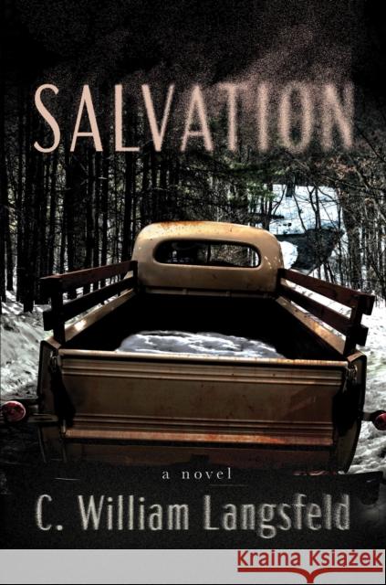 Salvation: A Novel C. William Langsfeld 9781640097230 Counterpoint LLC - książka