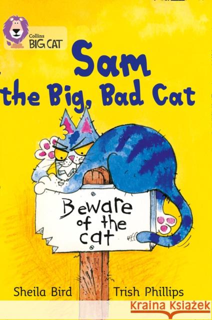 Sam and the Big Bad Cat: Band 03/Yellow Sheila Bird 9780007185726 HarperCollins Publishers - książka