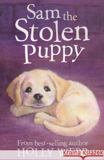Sam the Stolen Puppy Holly Webb 9781847150417  - książka