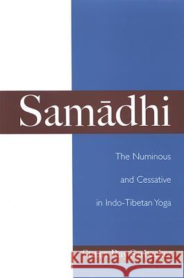 Samadhi: The Numinous and Cessative in Indo-Tibetan Yoga Stuart Ray Sarbacker 9780791465530 State University of New York Press - książka