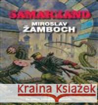 Samarkand Miroslav Žamboch 9788076841130 Triton - książka