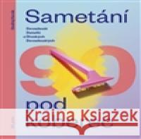 Sametání pod koberec Ondřej Horák 9788087506691 Nakladatelství 65. pole - książka