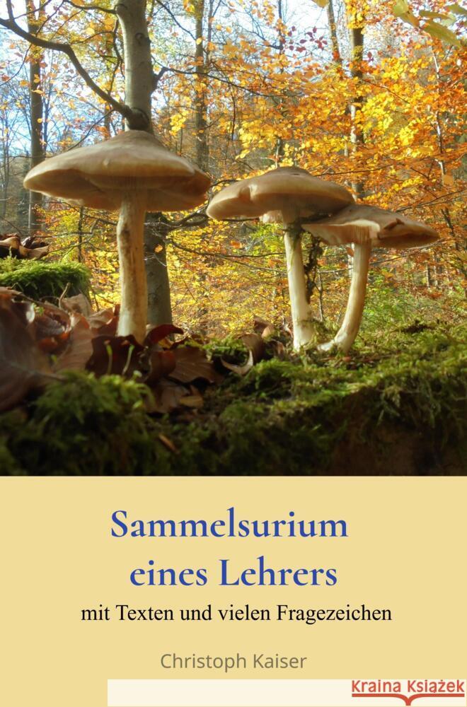 Sammelsurium eines Lehrers Kaiser, Christoph 9789403690629 Bookmundo - książka