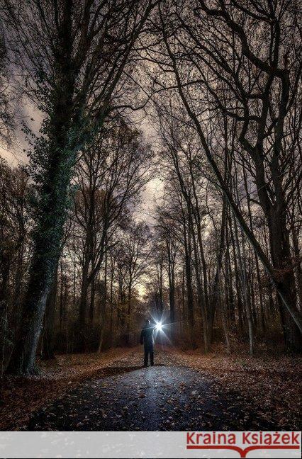 Sam's Geschichen : #Erinnerungsfelsen Edring, Sam 9783748546030 epubli - książka