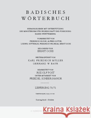 Samstagabend-Schälete No Contributor 9783486578362 Oldenbourg Wissenschaftsverlag - książka