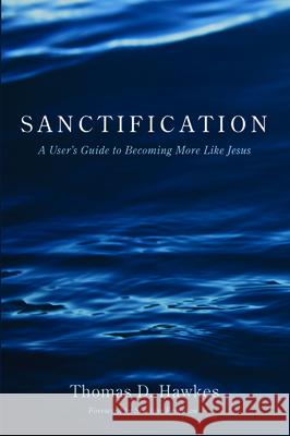 Sanctification Thomas D. Hawkes Sinclair Ferguson 9781725268708 Wipf & Stock Publishers - książka