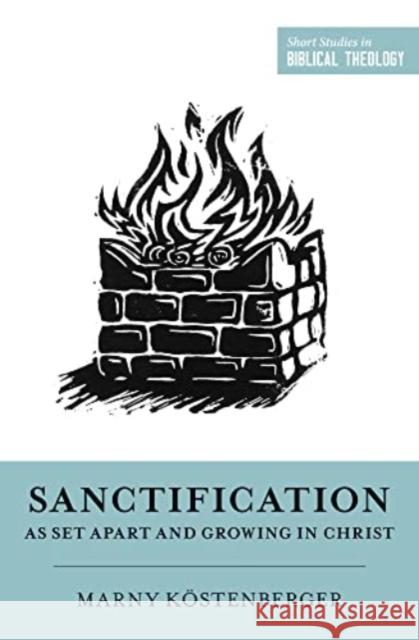 Sanctification as Set Apart and Growing in Christ Margaret Elizabeth K?stenberger Dane C. Ortlund Miles V. Va 9781433573651 Crossway - książka