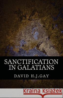 Sanctification in Galatians David H 9781490321202 Createspace - książka