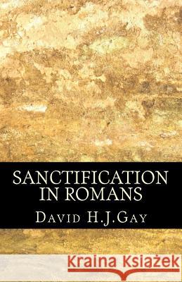 Sanctification in Romans David H 9781490431932 Createspace - książka