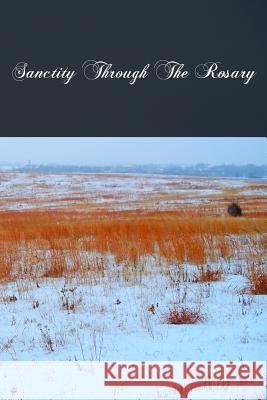 Sanctity Through The Rosary Alberta O. P., Sister M. 9781479384938 Createspace - książka