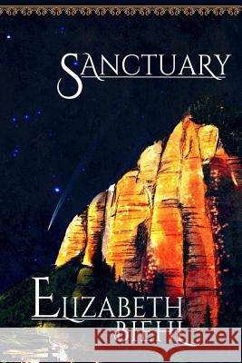 Sanctuary: Book One of the Darzins' Mill Trilogy Elizabeth Biehl 9780692874134 City Park Publishing Collective - książka
