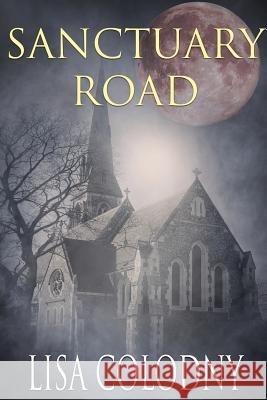 Sanctuary Road Lisa Colodny 9781645330202 Kingston Publishing Company - książka