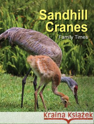 Sandhill Cranes, Family Times Gail Diederich, Gail Diederich 9781614934554 Peppertree Press - książka
