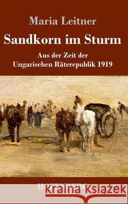 Sandkorn im Sturm: Aus der Zeit der Ungarischen Räterepublik 1919 Maria Leitner 9783743740976 Hofenberg - książka