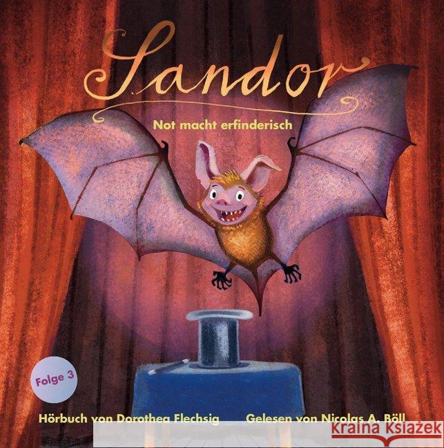 Sandor - Not macht erfinderisch, 2 Audio-CDs : Lesung Flechsig, Dorothea 9783943030136 Glückschuh - książka