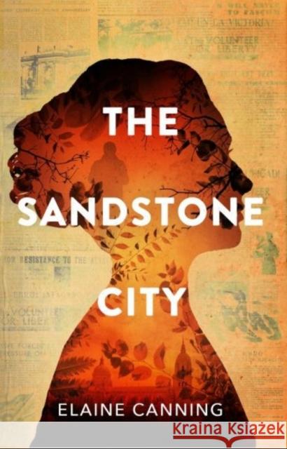 Sandstone City, The Elaine Canning 9781916398627 Aderyn Press - książka