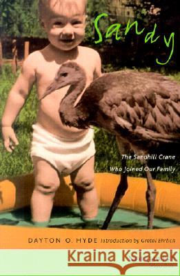 Sandy: The Sandhill Crane Who Joined Our Family Dayton O. Hyde Gretel Ehrlich 9780870714863 Oregon State University Press - książka