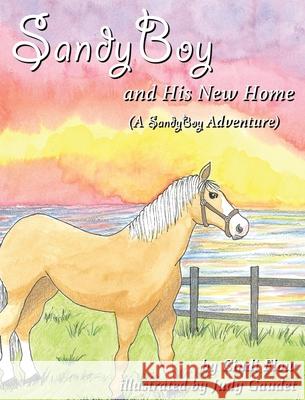 SandyBoy and His New Home (A SandyBoy Adventure) Cindi Flow Judy Gaudet 9781952041372 Texas Sisters Press, LLC - książka