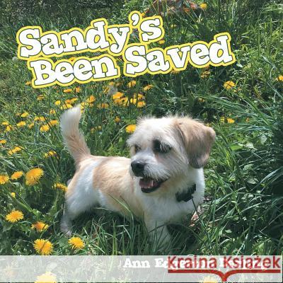 Sandy's Been Saved Ann Edgerton Darling 9781973654056 WestBow Press - książka