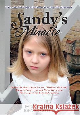 Sandy's Miracle Patsy Giddings John Borgstedt 9781481706100 Authorhouse - książka