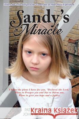 Sandy's Miracle Patsy Giddings John Borgstedt 9781481706117 Authorhouse - książka