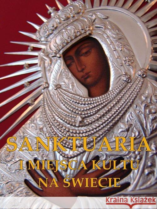 Sanktuaria i miejsca kultu na świecie  9788377404430 Arti - książka