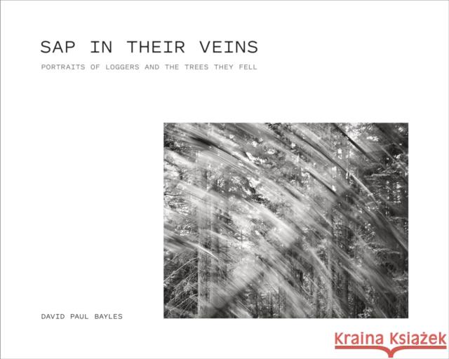 Sap in Their Veins – Portraits of Loggers and the Trees They Fell David Paul Bayles 9780870712418  - książka