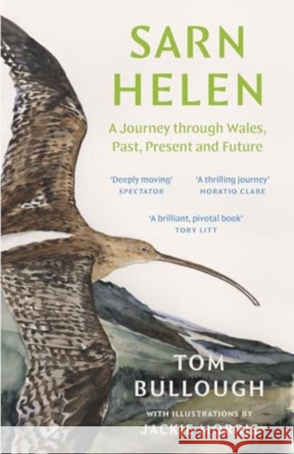 Sarn Helen: A Journey Through Wales, Past, Present and Future Tom Bullough 9781783788118 Granta Books - książka