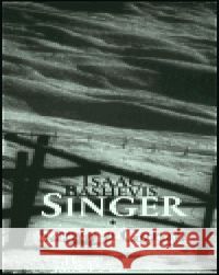 Satan v Goraji Isaac Bashevis Singer 9788072035106 Argo - książka