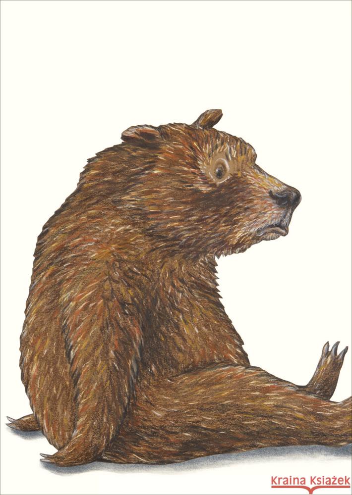 Sauerbär Postkarte VE 1 = 10 Schärer, Kathrin 9783715240282 Atlantis Zürich - książka