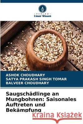 Saugsch?dlinge an Mungbohnen: Saisonales Auftreten und Bek?mpfung Ashok Choudhary Satya Prakash Singh Tomar Balveer Choudhary 9786630240443 Verlag Unser Wissen - książka