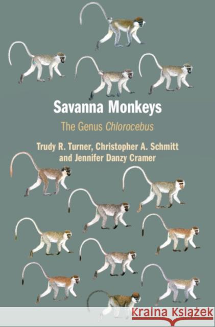 Savanna Monkeys: The Genus Chlorocebus Trudy R. Turner Christopher A. Schmitt Jennifer Danzy Cramer 9780521782944 Cambridge University Press - książka