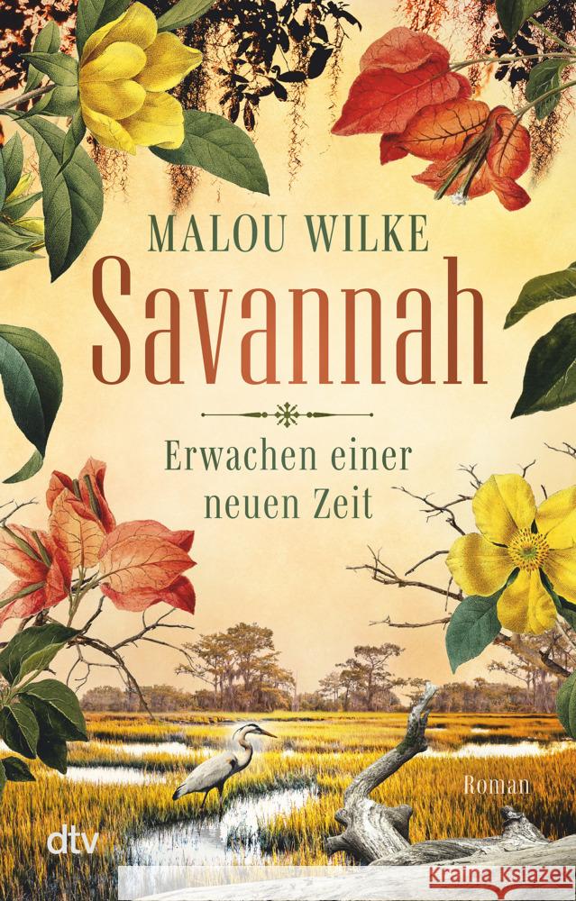 Savannah - Erwachen einer neuen Zeit Wilke, Malou 9783423220897 DTV - książka