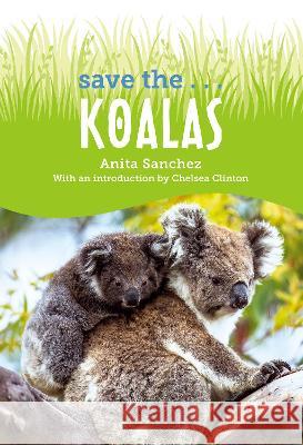 Save The... Koalas Anita Sanchez Chelsea Clinton 9780593622636 Philomel Books - książka