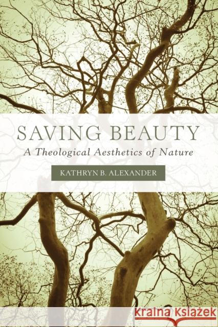 Saving Beauty: A Theological Aesthetics of Nature Kathryn B. Alexander 9781451472233 Fortress Press - książka