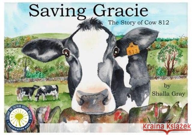 Saving Gracie: The Story of Cow 812 Shalla Gray 9781999633653 Curly Tale Books - książka